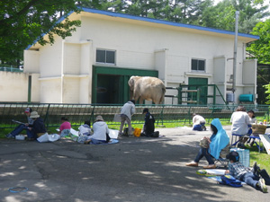 幼児・児童動物画写生コンクール