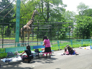 幼児・児童動物画写生コンクール