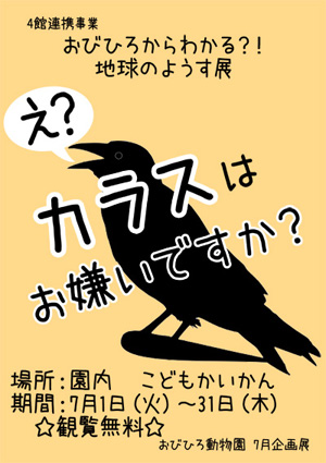 7月企画展　え？カラスはお嫌いですか？