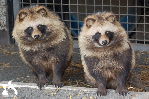 おびひろ動物園 楽しく まなぼう