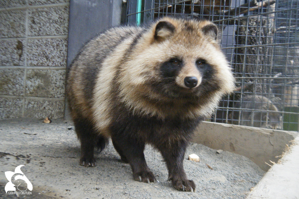 おびひろ動物園 楽しく まなぼう